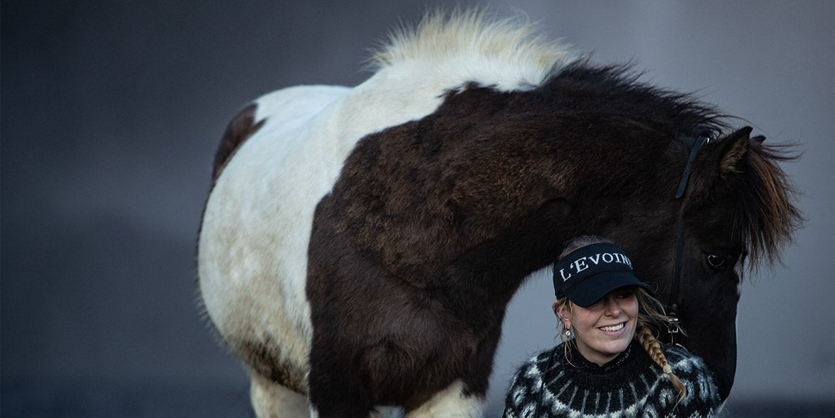 Tölten - Das einzigartige Gangwerk der Islandpferde - L'Evoine