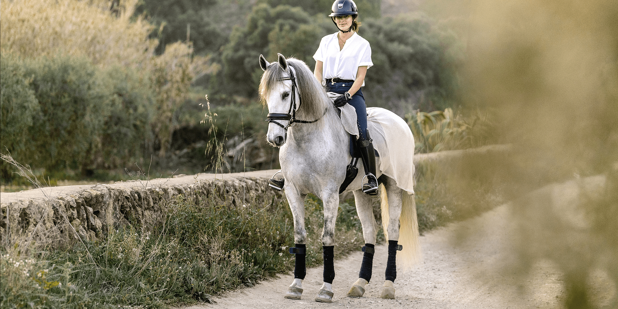 Wie misst man ein Pferd für eine Fliegendecke? - L'Evoine
