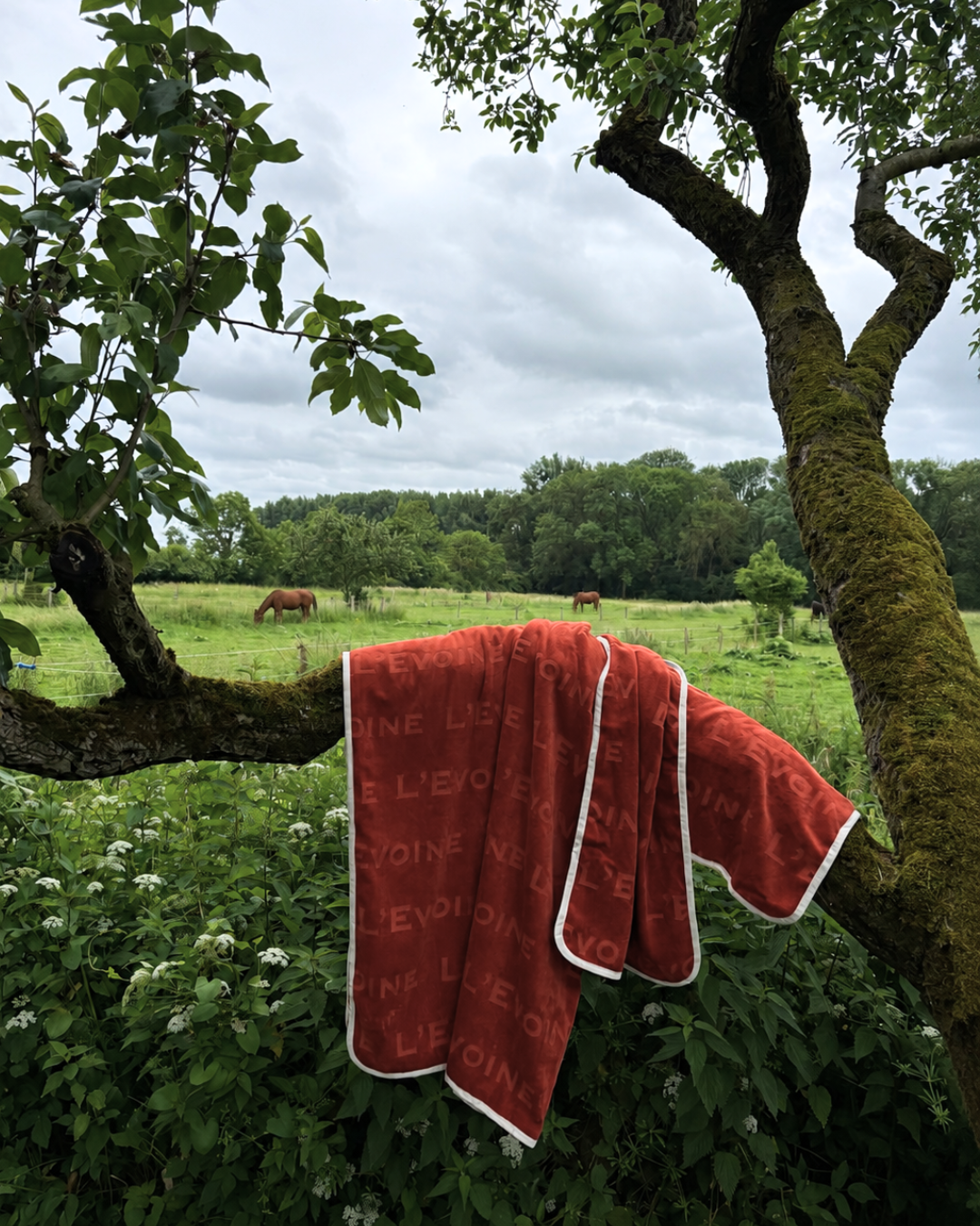 Abschwitzdecke Le Bain burnt red