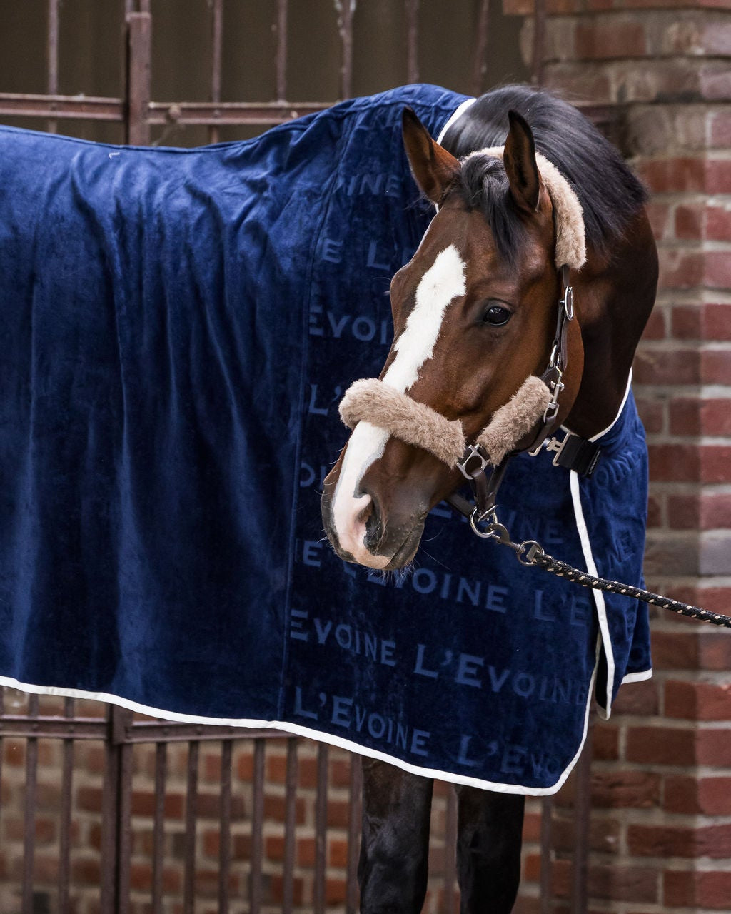 Cotton Sweat Rug Midnight