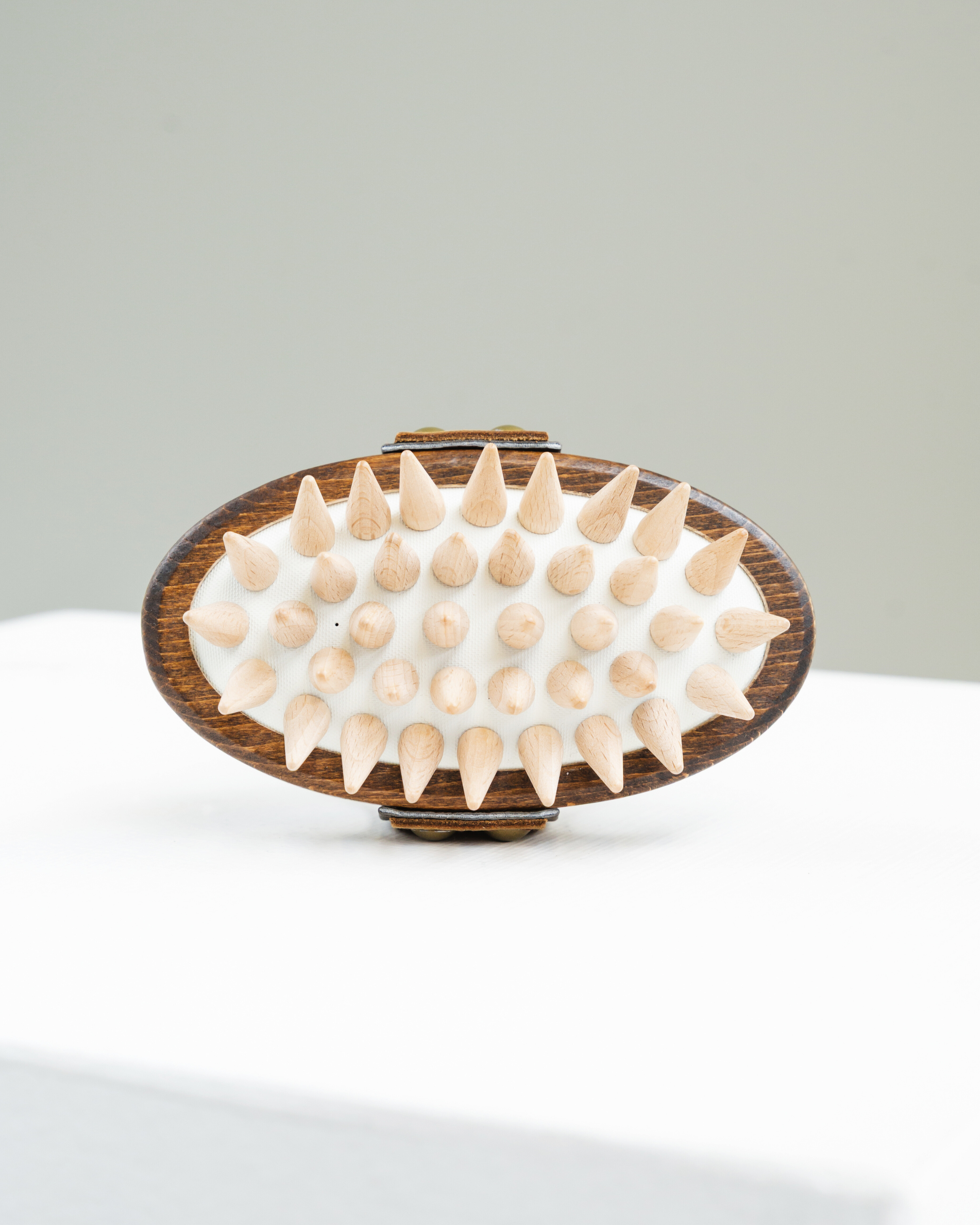 Fascia brush