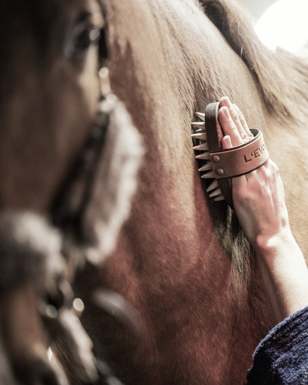 Pferdepflegeset Essential 2.0