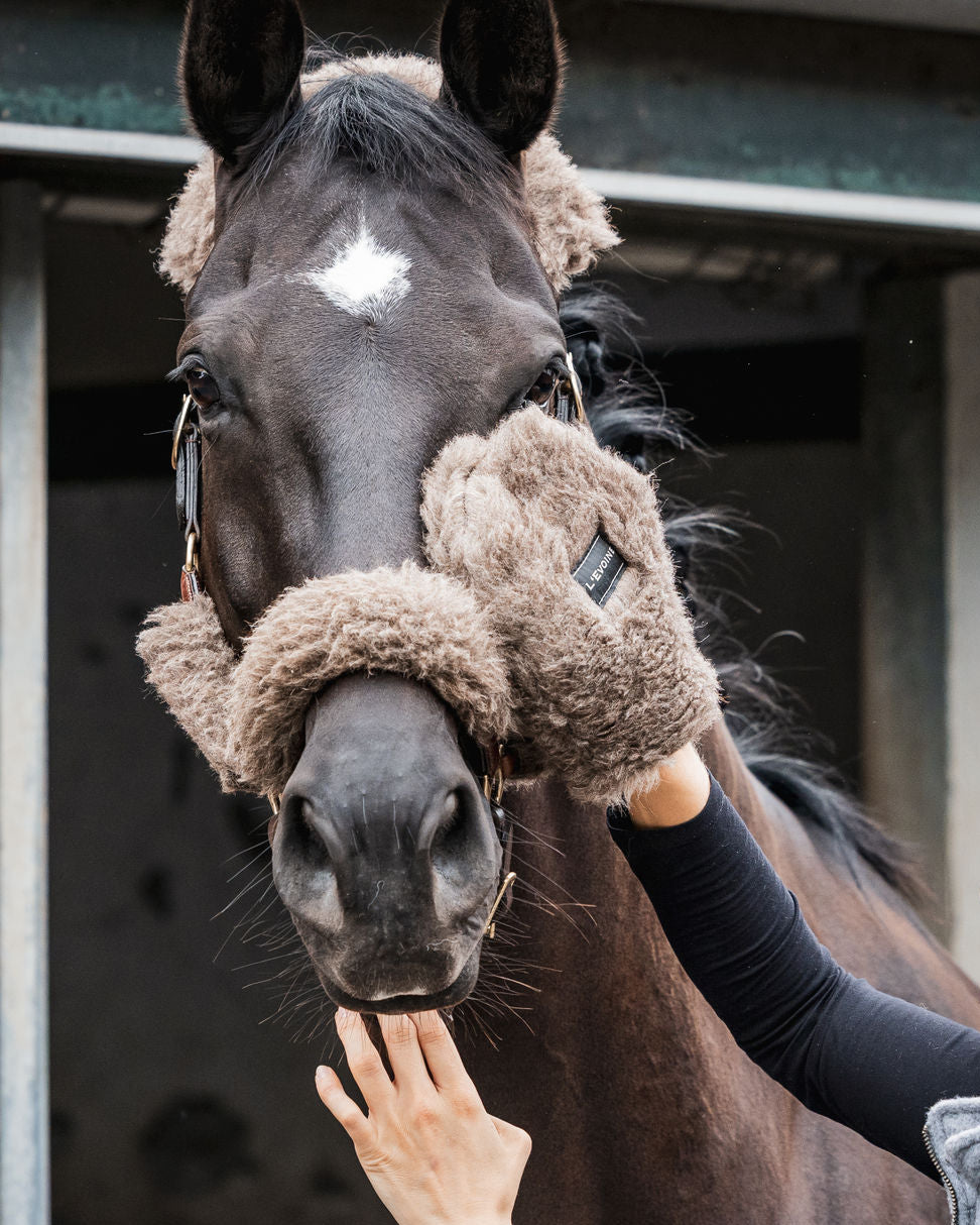 L'Evoine Alpaka Vlies Produkte