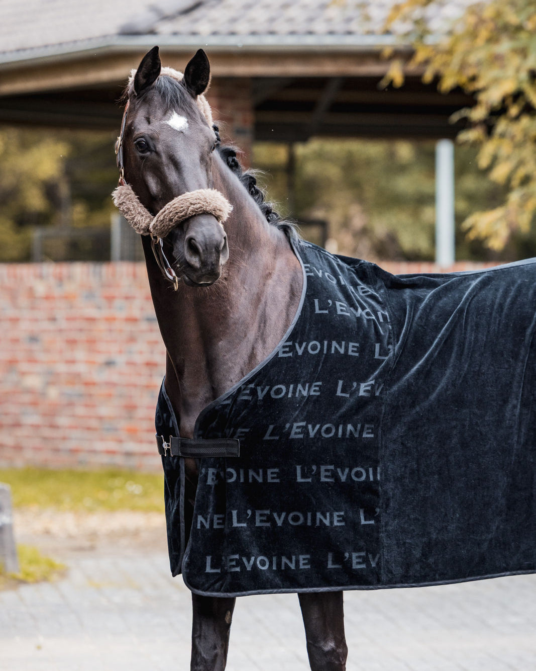 L'Evoine Abschwitzdecke Baumwolle Frottee schwarz