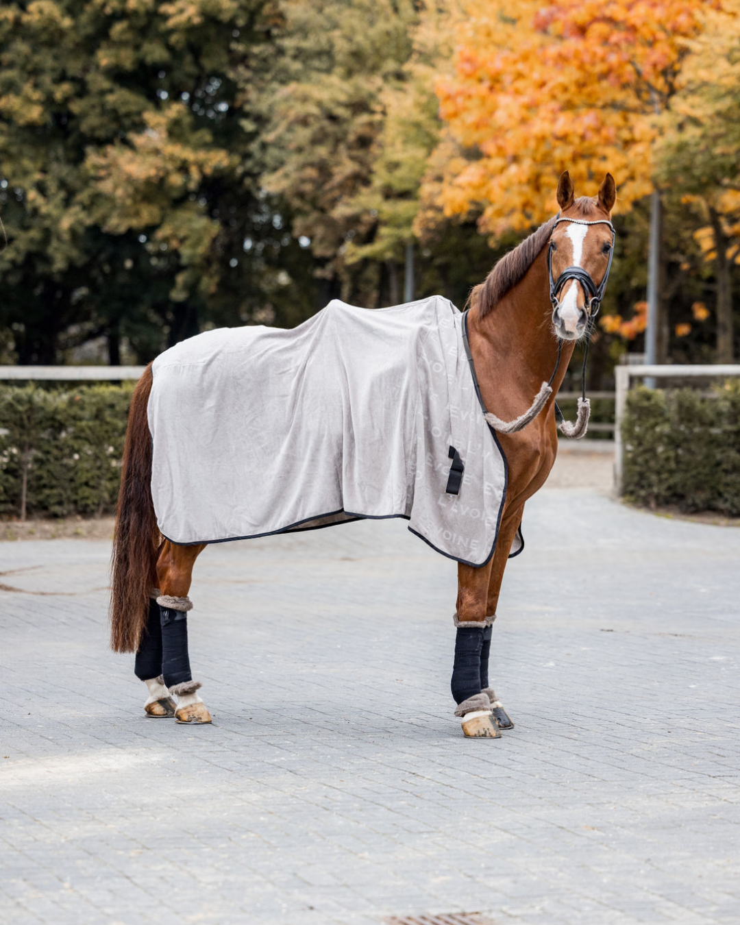 Abschwitzdecke aus Baumwolle Frottee