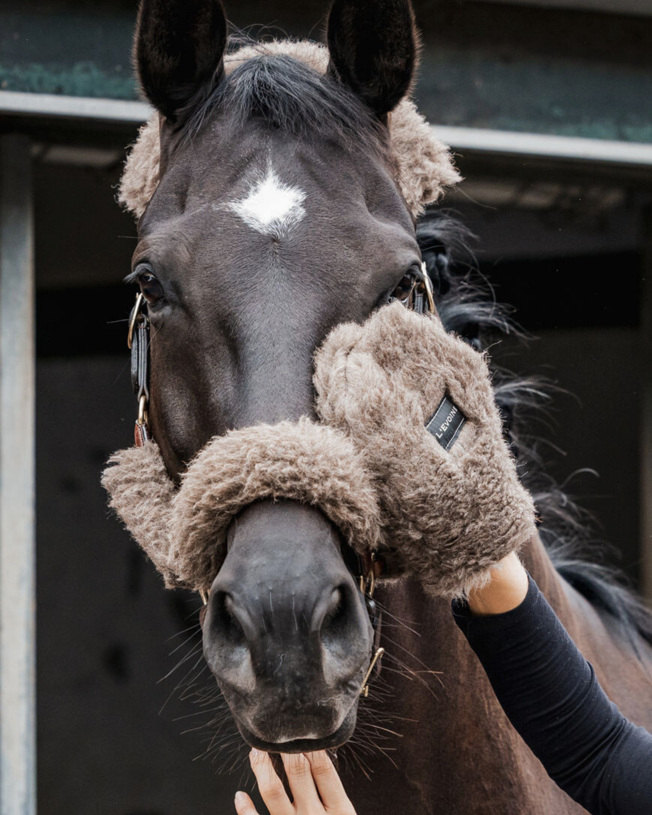 L'Evoine Pflegehandschuh