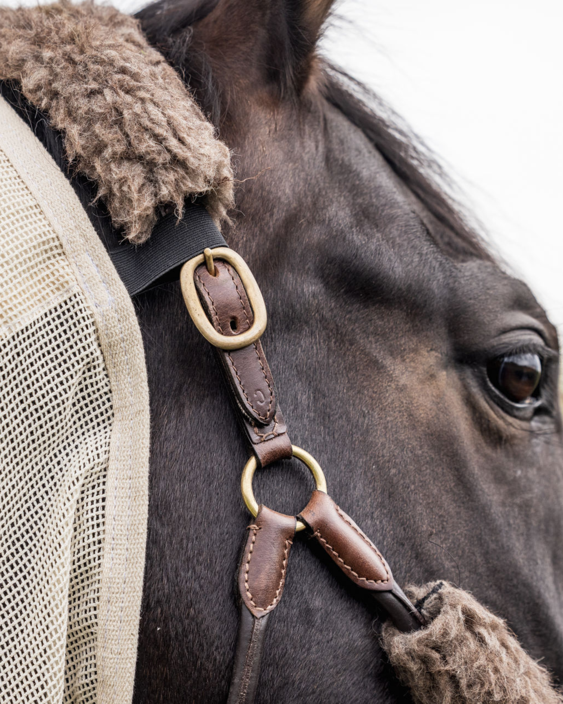 Riding Fly Rug