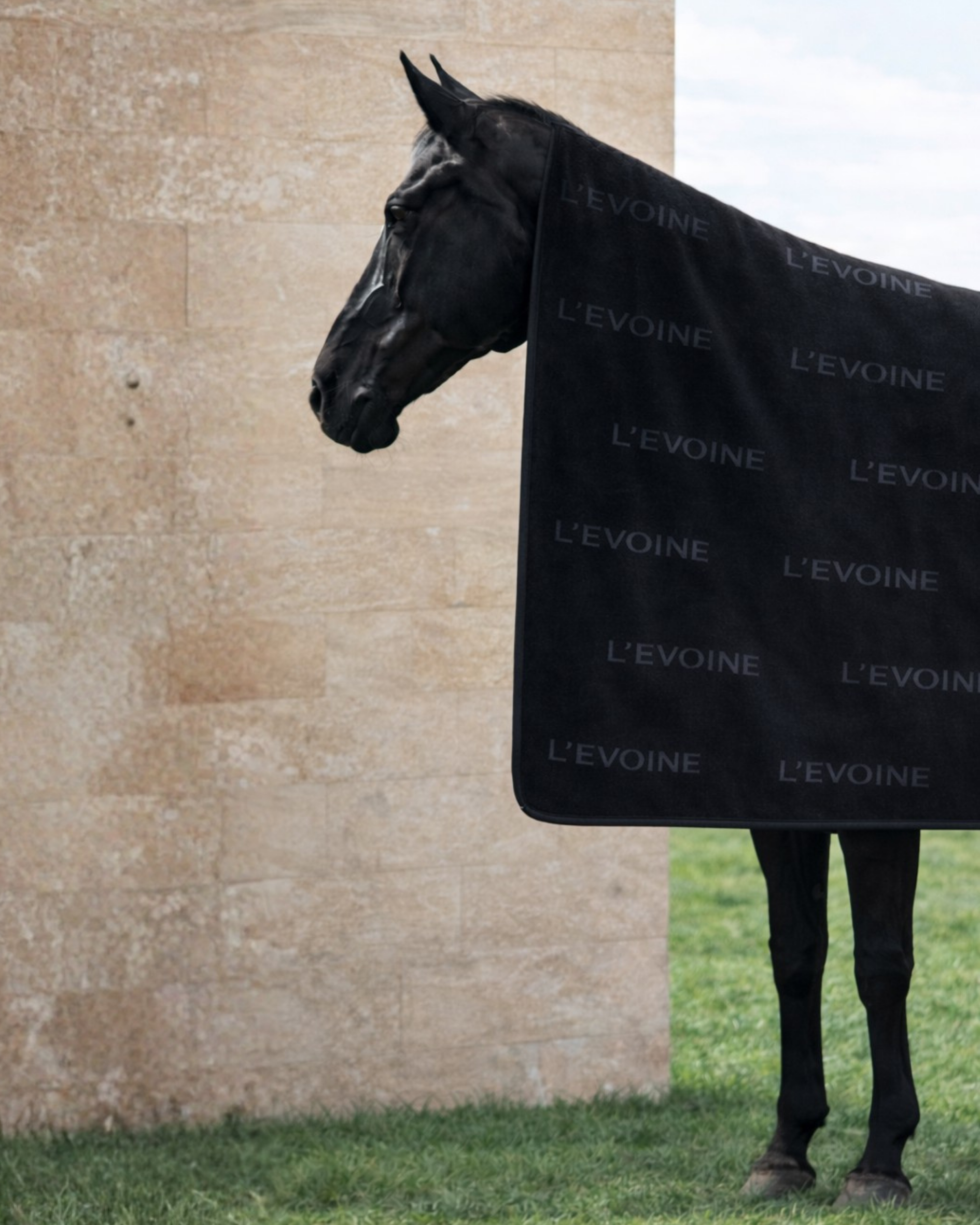 Abschwitzdecke Le Bain noir