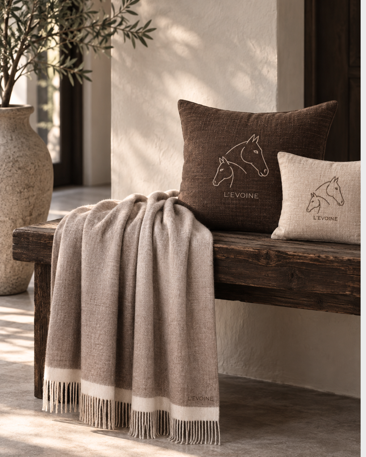 Plaid Blanket Dégradé