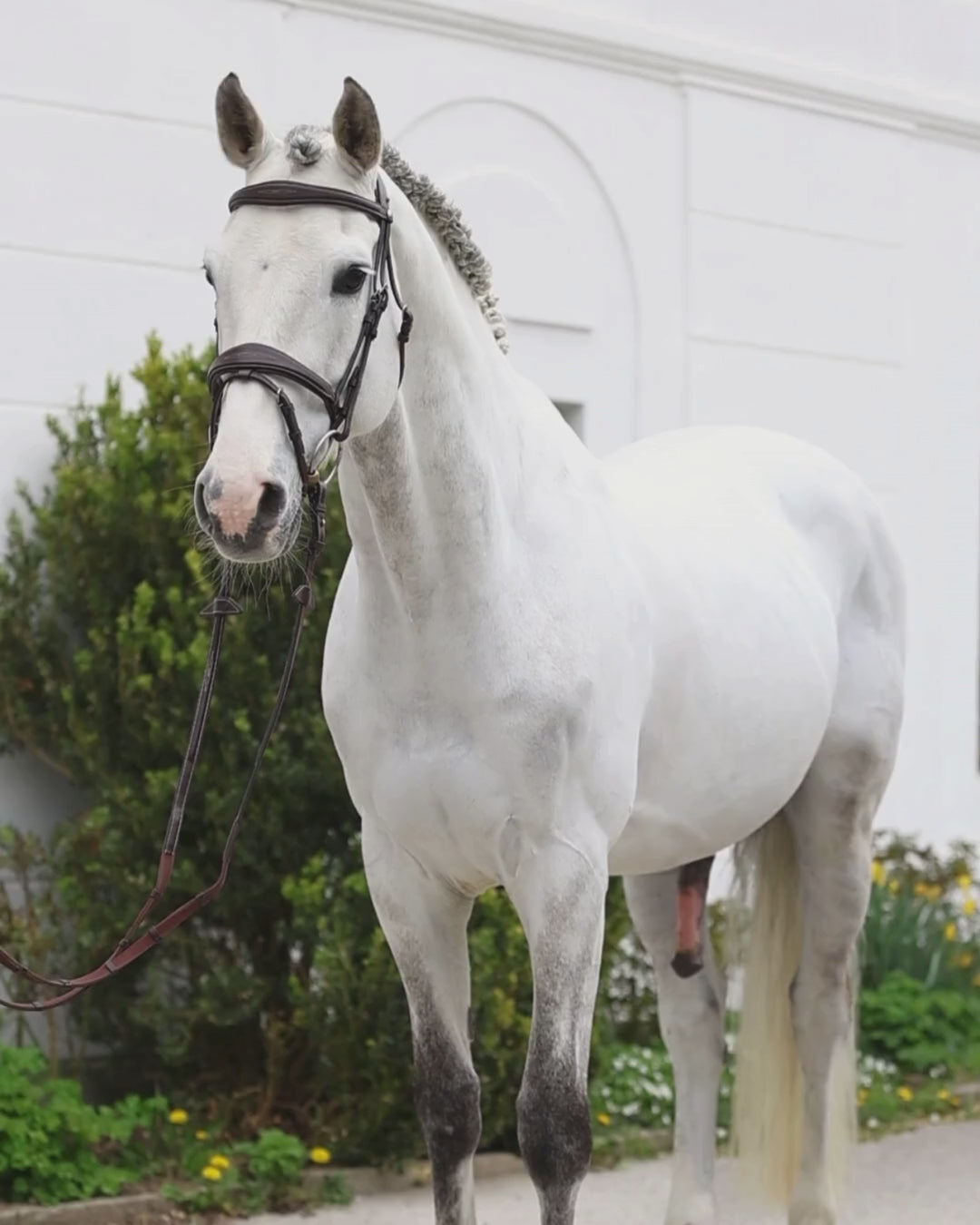 L'Evoine Abschwitzdecke Baumwolle midnight